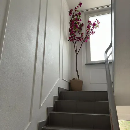 Apartment Leimen51 Wg3